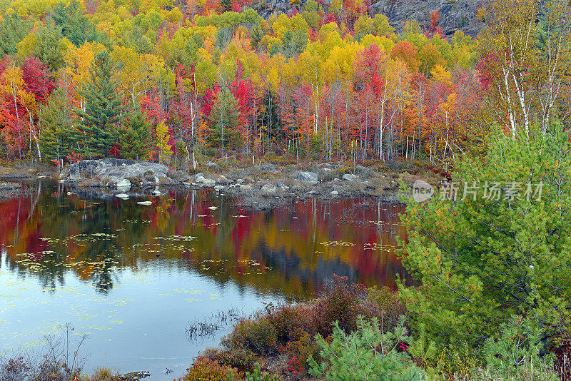 秋天的树叶，在湖的倒影，阿迪朗达克，纽约