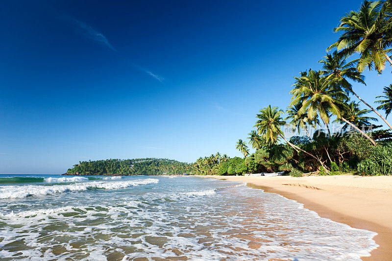 天堂-热带海滩，斯里兰卡