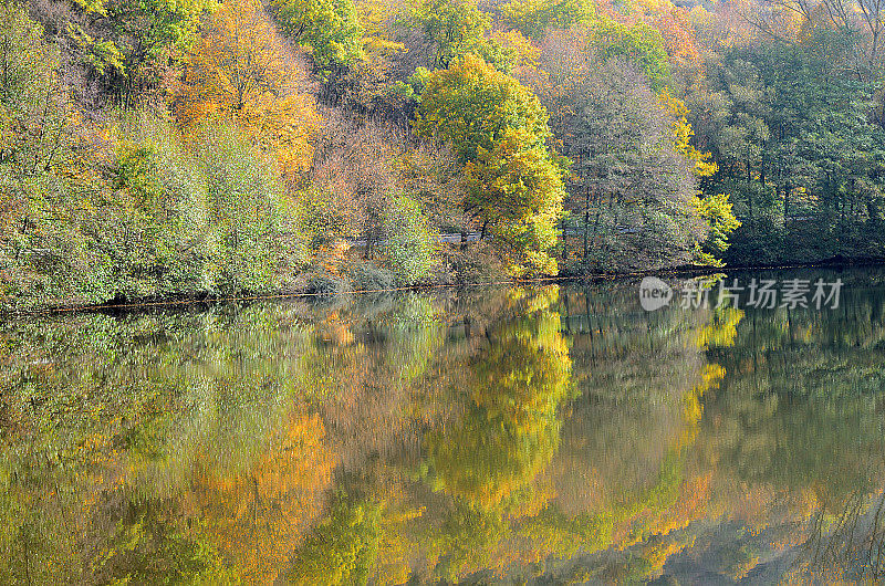秋天的森林倒影在湖水中