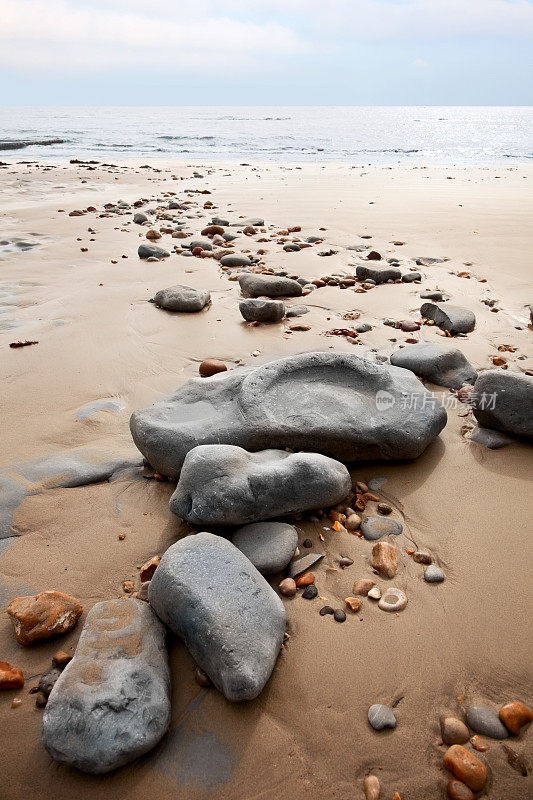 英国莱姆里吉斯海滩上菊石化石