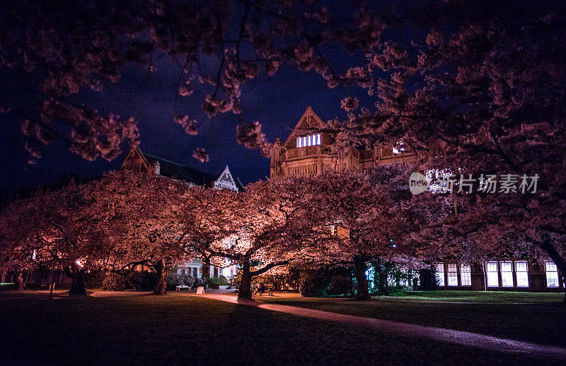 华盛顿大学夜校