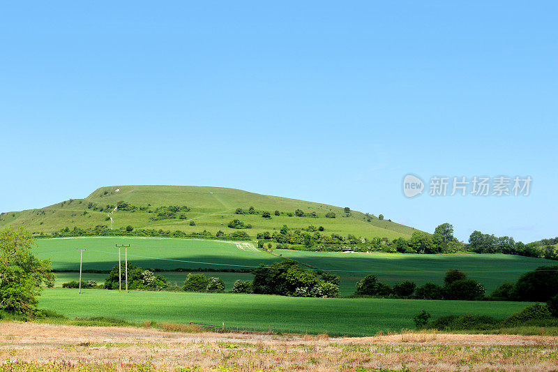 在乡村陡峭的山坡上，有青草，绿色的田野