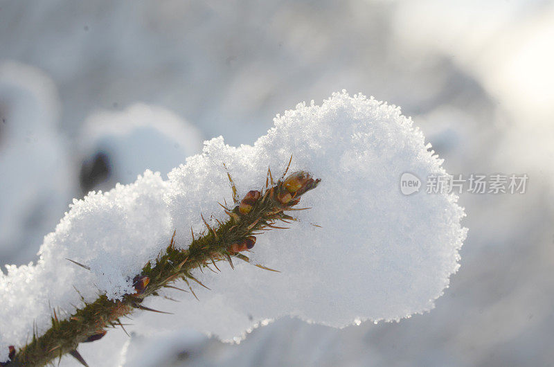 降雪在斯堪的那维亚