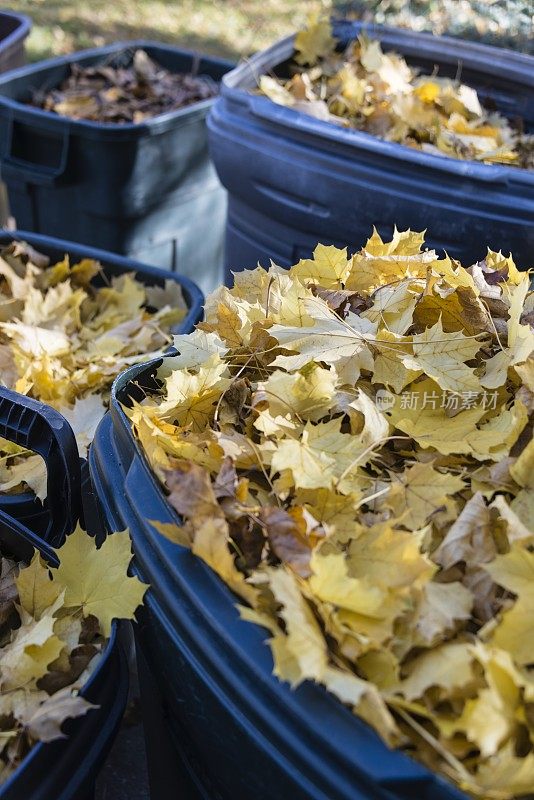 密歇根州罗彻斯特的秋天落叶回收