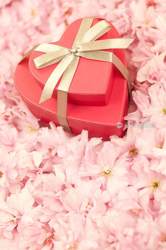 心形的盒子放在樱花上