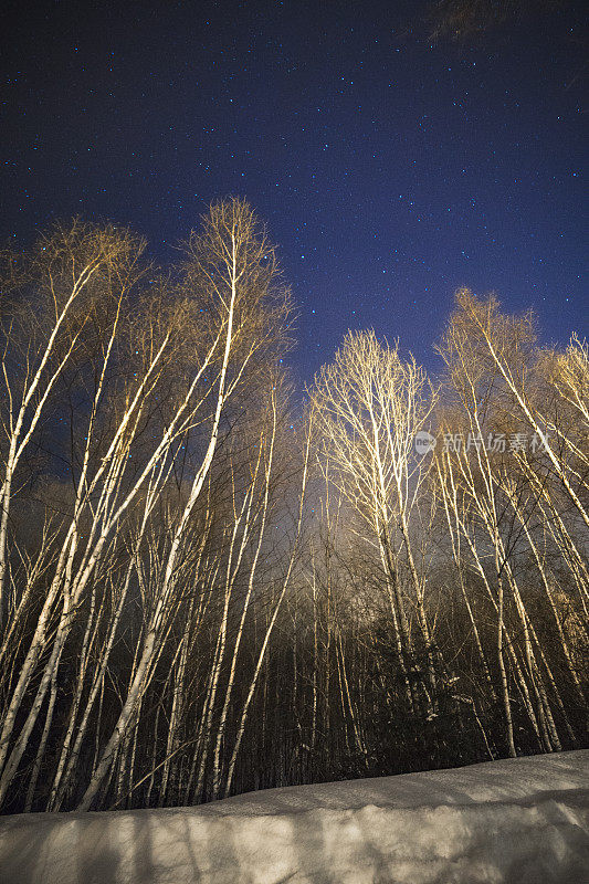 宁静的夜景，星星在雪地上