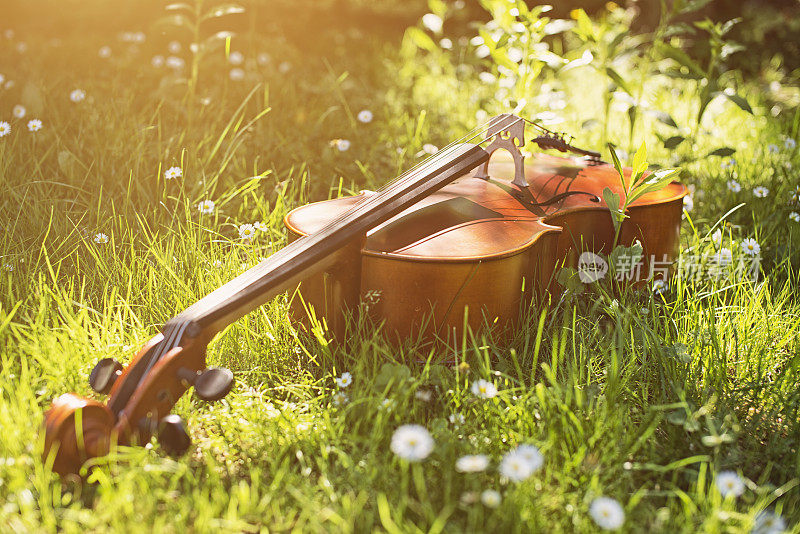 草地上的大提琴