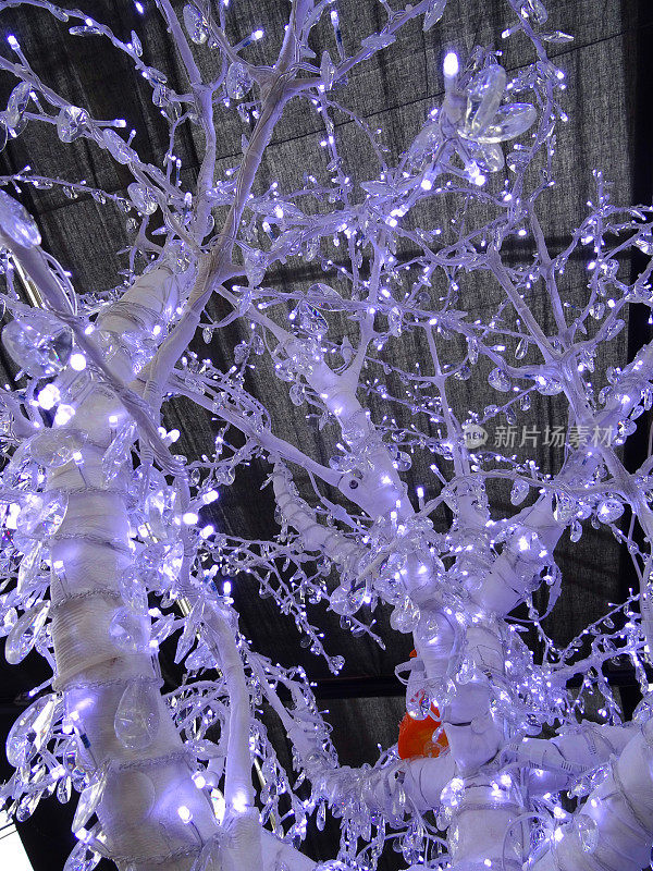 圣诞树上的仙女彩灯，闪烁着圣诞彩灯的形象，白桦银光