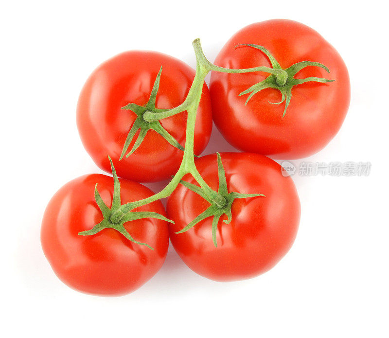 我来到tomatoes