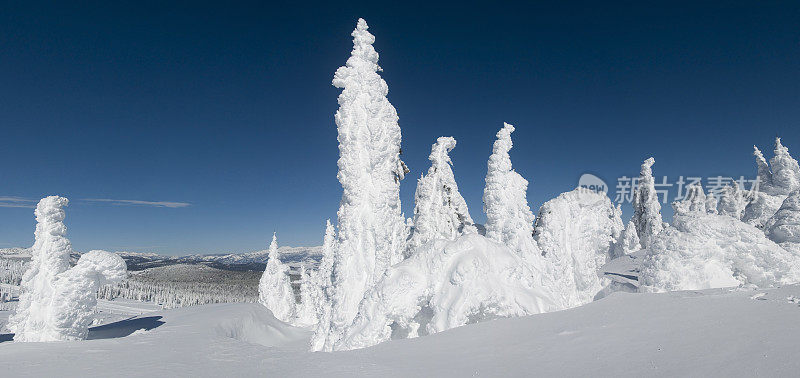 雪鬼