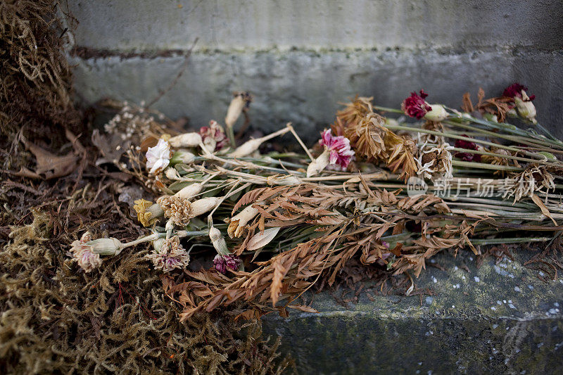 枯死的花躺在墓碑的底座上。