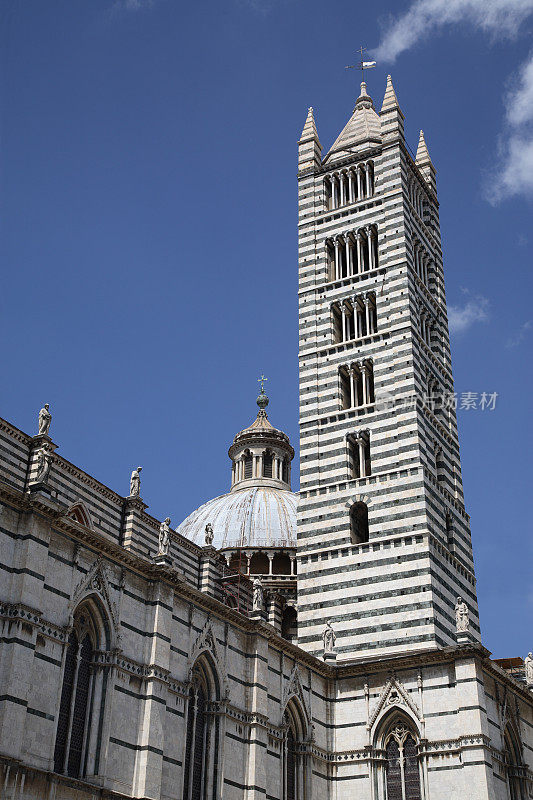 Siena:大教堂