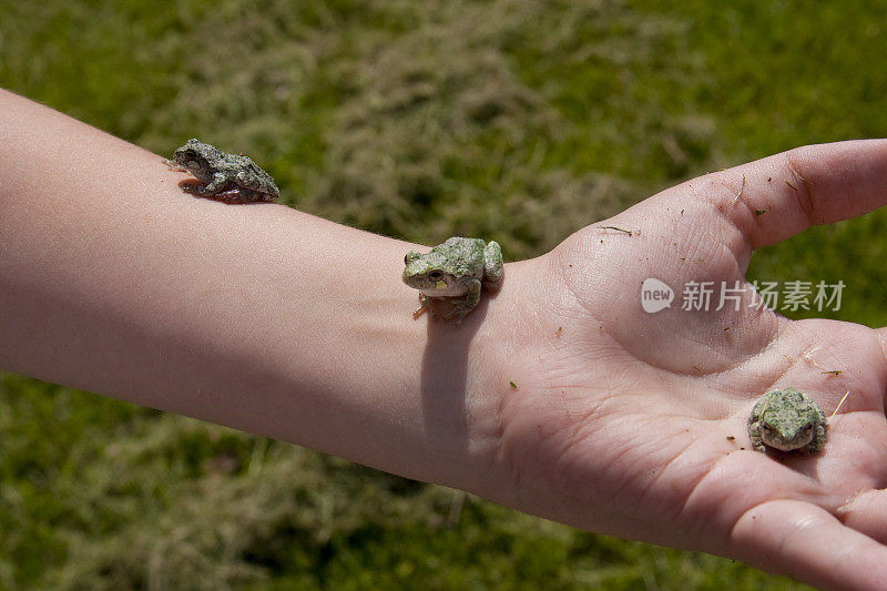 孩子手臂上的小青蛙