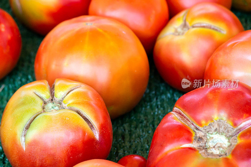 色彩斑斓的西红柿