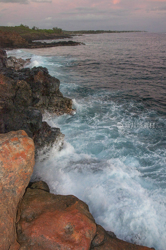 南海岸《暮光之城》