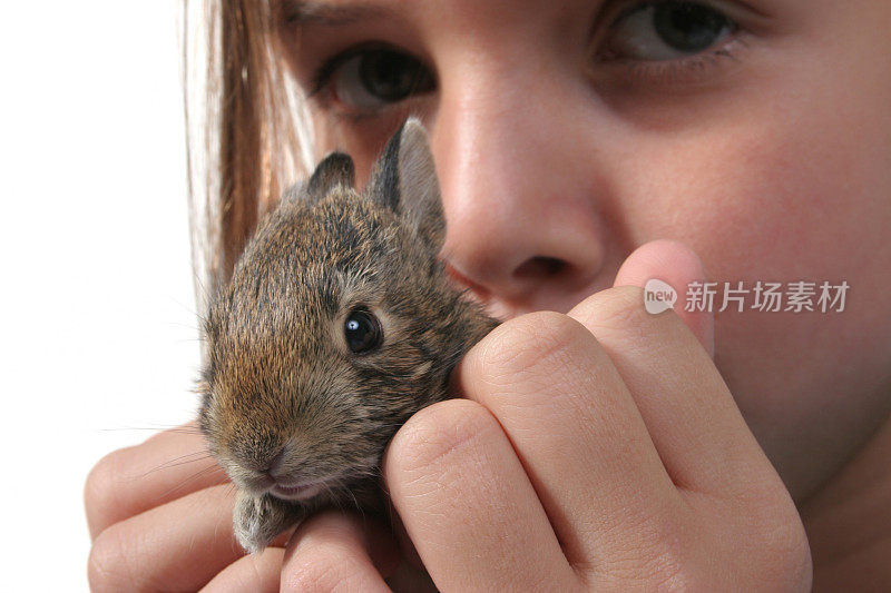 带着小兔子的女孩