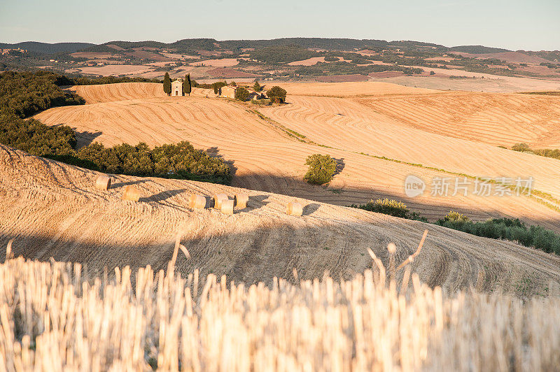 意大利(Tuscany)