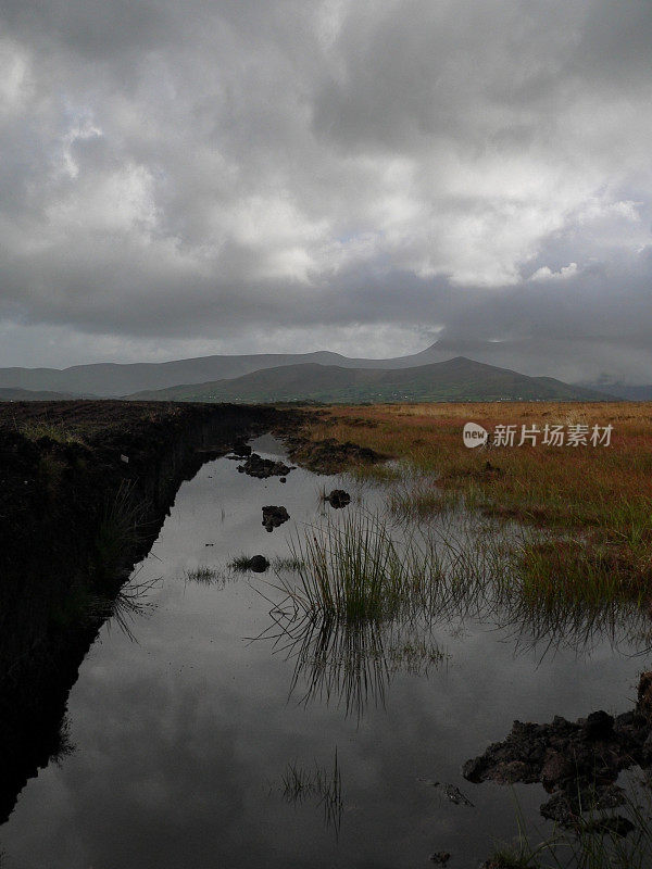 爱尔兰浸水的沼泽，沼泽或沼泽-凯里，爱尔兰