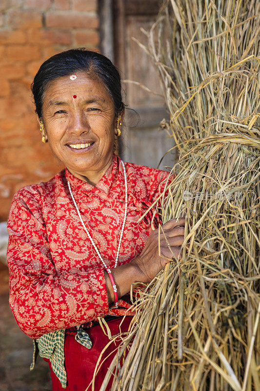 尼泊尔巴德岗，一名尼泊尔妇女扛着稻草