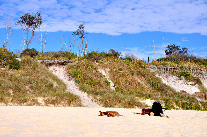 嬉皮士和狗睡在沙滩上
