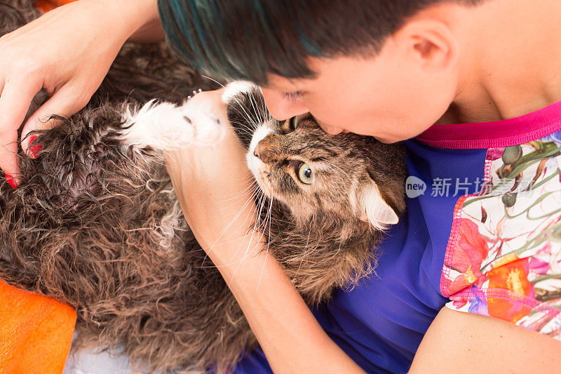 洗澡后，一个女人在擦干她可爱的西伯利亚猫