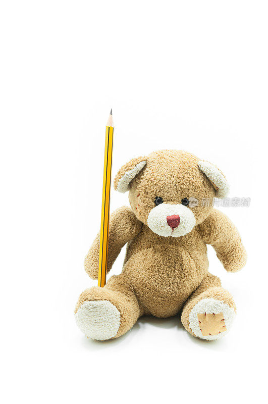 棕色的泰迪熊玩具坐在白色的背景上拿着黄色的铅笔