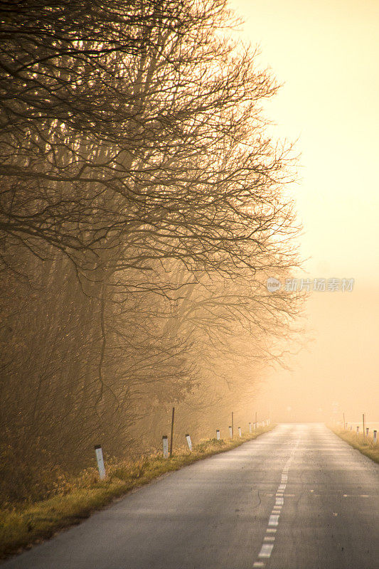 路在雾蒙蒙的早晨
