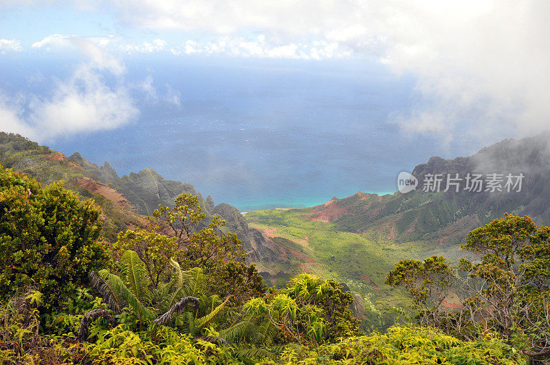夏威夷考艾岛上的威美亚峡谷瞭望台