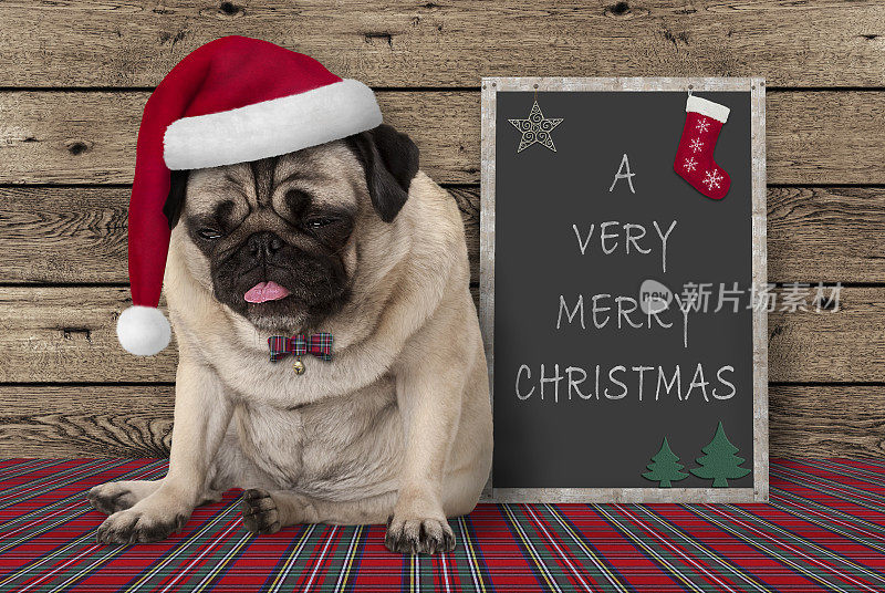 脾气暴躁的哈巴狗狗戴着红色的圣诞帽坐在黑板旁边写着“圣诞快乐”的字样，在木头背景上