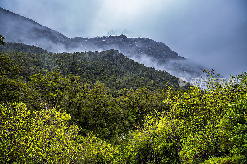 米尔福德声音山