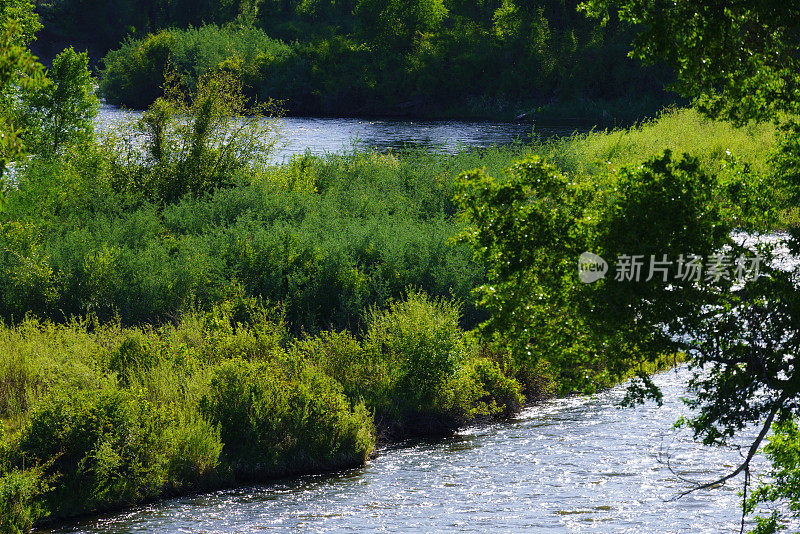 风景秀丽的河流景观郁郁葱葱