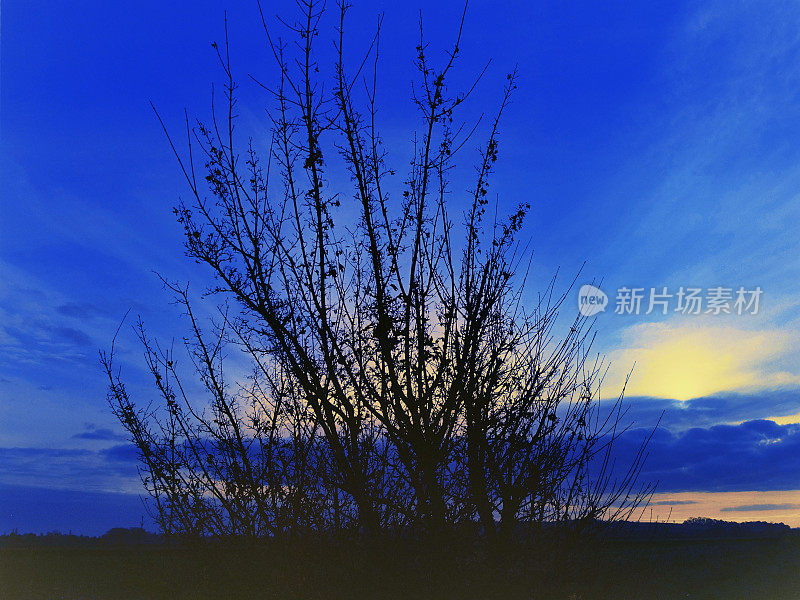 从小路上望去，穿过典型的英国乡村风景——绿树成荫的田园风光——在阳光明媚的日子里徒步行走风景郁郁葱葱