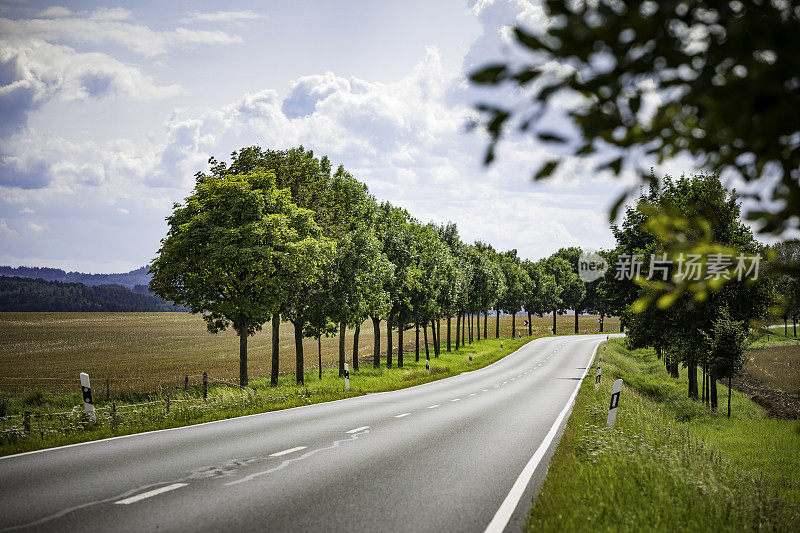 乡村景观中的道路