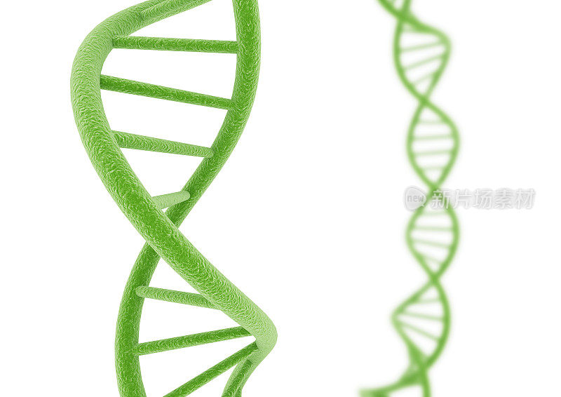 从白色背景中分离出的DNA。