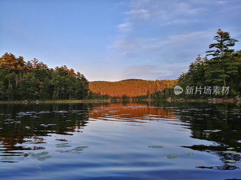 鹤池，阿迪朗达克，纽约，水反射