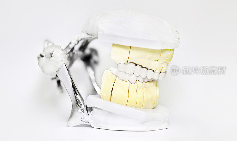 牙科咬合器孤立在白色背景下，牙医技术工具