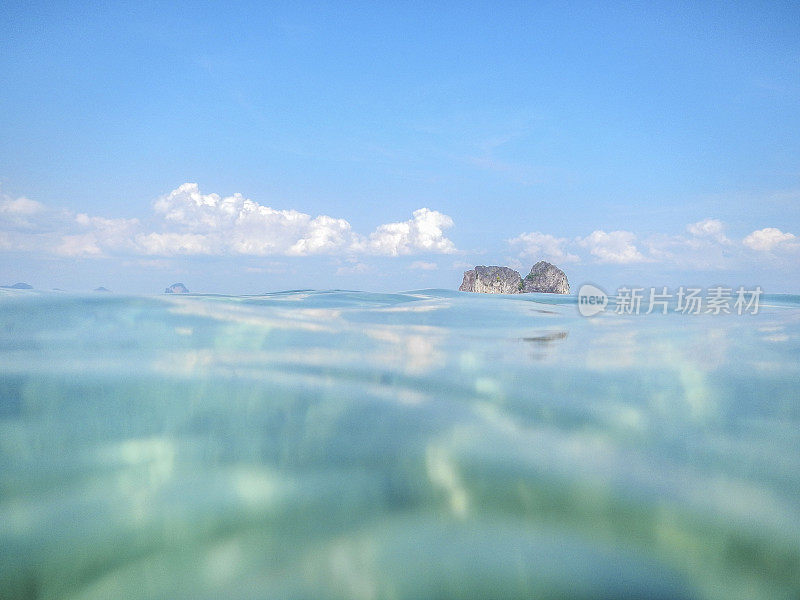 热带的愿景