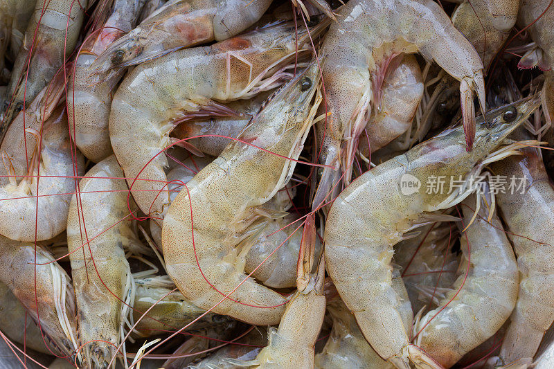 白虾或凡纳滨对虾在市场近距离观看。
新鲜的虾，高蛋白和美味的味道，每一个海鲜菜单。自制食品的概念。