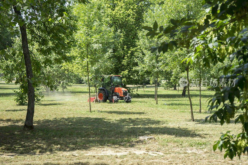 红色的拖拉机和割草机，在公园的小巷里修剪草坪。