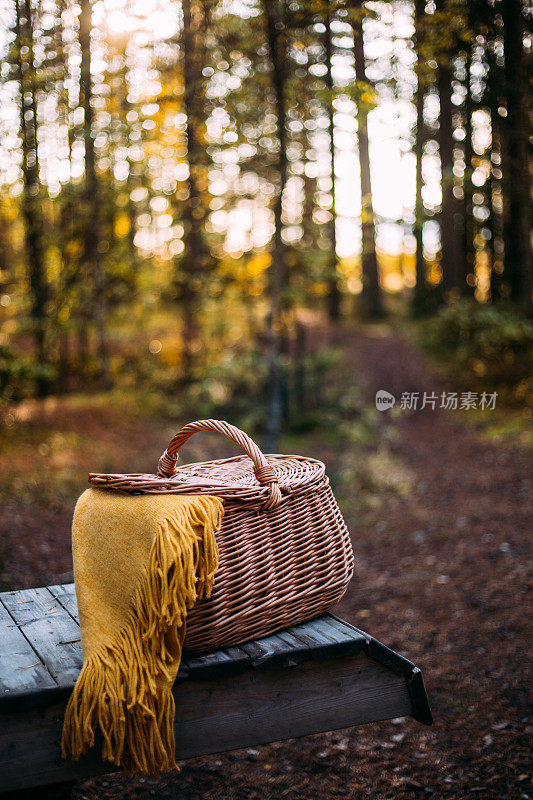 野餐在日落时间与美丽的秋天风景