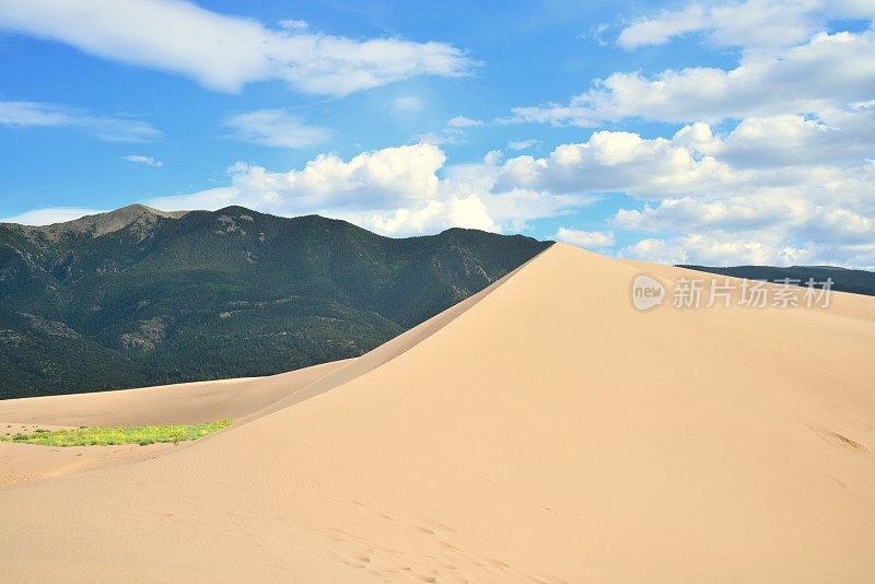 大沙丘国家公园