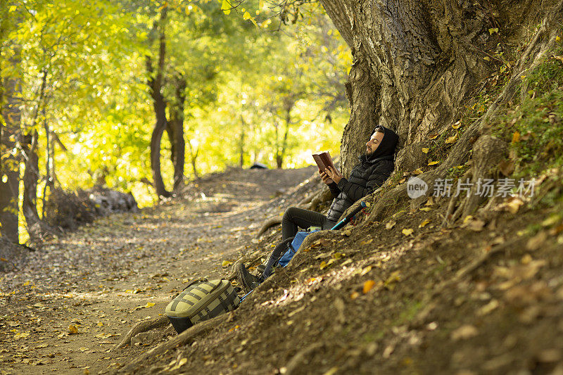 一个人坐在秋天的森林里的一棵树上看书。
