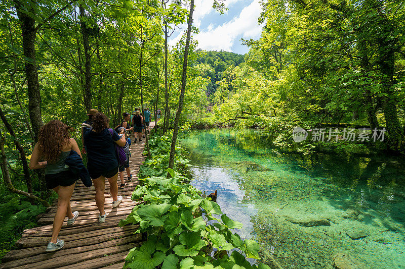在克罗地亚的普利特维茨湖国家公园，徒步旅行者经过隐藏在荒野中的蓝色湖泊和池塘的美丽风景