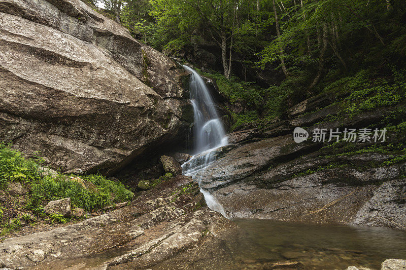 森林中流动的河流