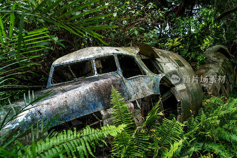 飞机残骸在丛林，库兰达，澳大利亚