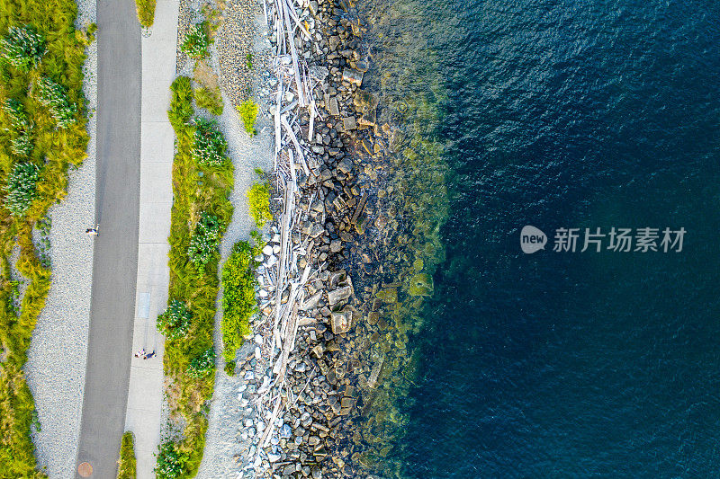 普吉特海湾的海岸线和人行道