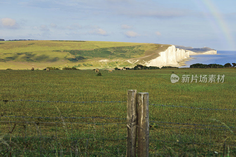 七姐妹国家公园高高的白色白垩悬崖，东苏塞克斯，英国