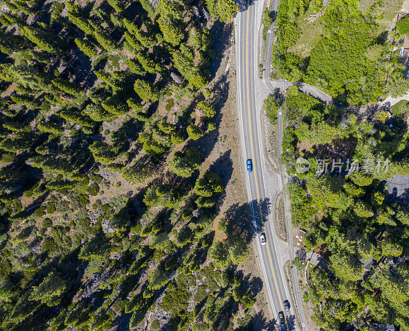 在加州的太浩湖，汽车行驶在两旁有树的街道上