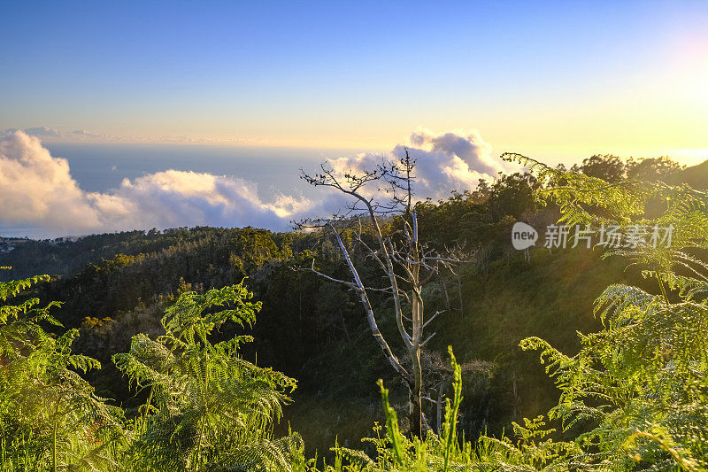 日落时分，马德拉岛Raba?al附近群山上空的云朵