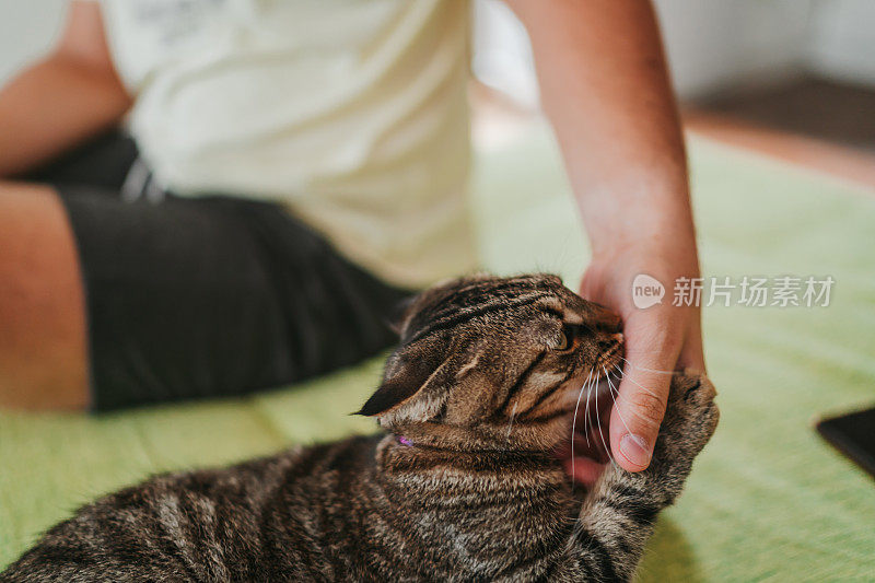 男人在家里和猫玩